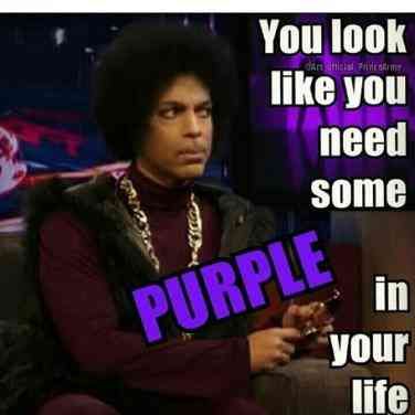 Featured image of post Prince Memes Purple Rain